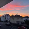 jizzbdjy