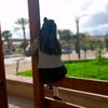 amanimanel490