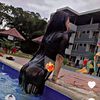 liam_13jhanin