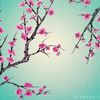 fia_0616