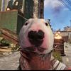goat_official_2