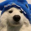 gurly439