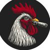 Tampa Bay Developer