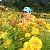 knshrestha72