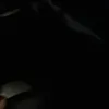 www.tiktok.comdlo..kurdi