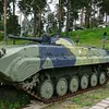 szampik_228