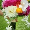 waleedkhan3812