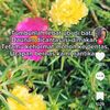 user1655100451887