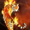 dinh_manh0