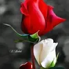 user9056057228653