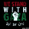 صالح العامري