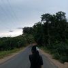 lediaxyn104