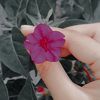 moona_gillani_35