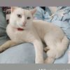 andreigheorghe268