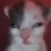 usera2kanrdwpm