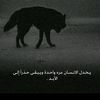 usera6mm2lkdc8