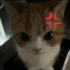 ffffflll_177