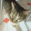 porruki_7
