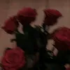 th3.d4ydr34m3x.11