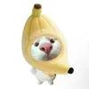 duynneek