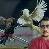 martinadido1