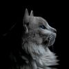 sultani0156