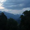 mexleysin