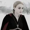 svinv4