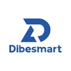 DIBESMART