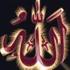 zahidbutt1274