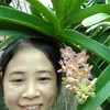 user163807580