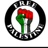 palestinep48