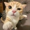 zyyyy_44