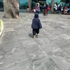 chothuevay_phukien