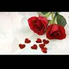 farahfarah3981