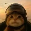 el__birdo