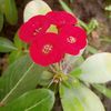 manishasilwal478