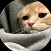 jamichf