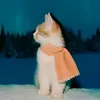 namiiizy