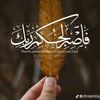 user9605836186739