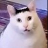 melkayana