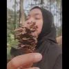 _iindar