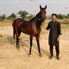 adeeb.gujjar07