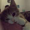 ikaaawww2