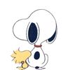 itssss.luci