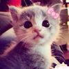 lilii_niee