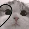 livelaughlovetbp8