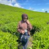 fijafebshiatnia_