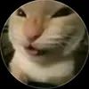 thereis_nothing_wecan.do