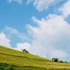 www.tiktok.comngocdang